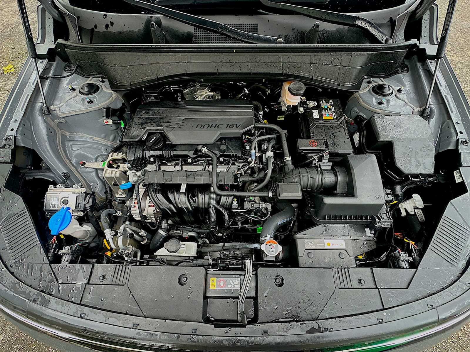 2025 Hyundai KONA SEL Convenience