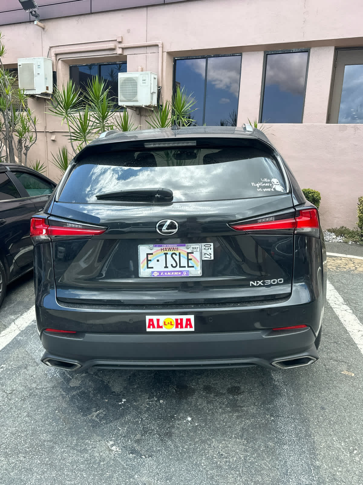 2018 Lexus NX 300 NX 300