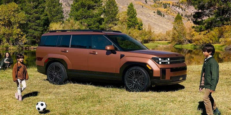 Hyundai Santa Fe SUV parked on a grassy hillside with scenic mountain views.
