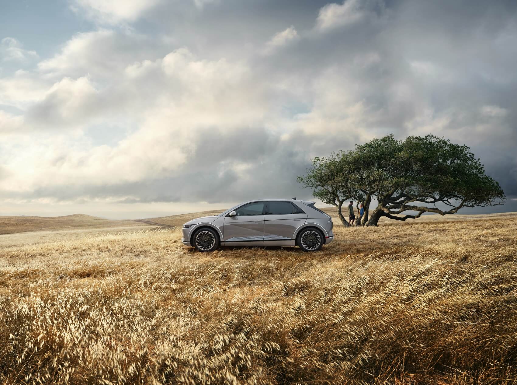 New IONIQ 5 in a Field